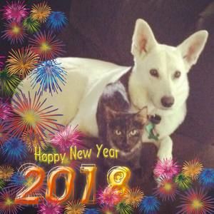 Meet your Posher, Norma